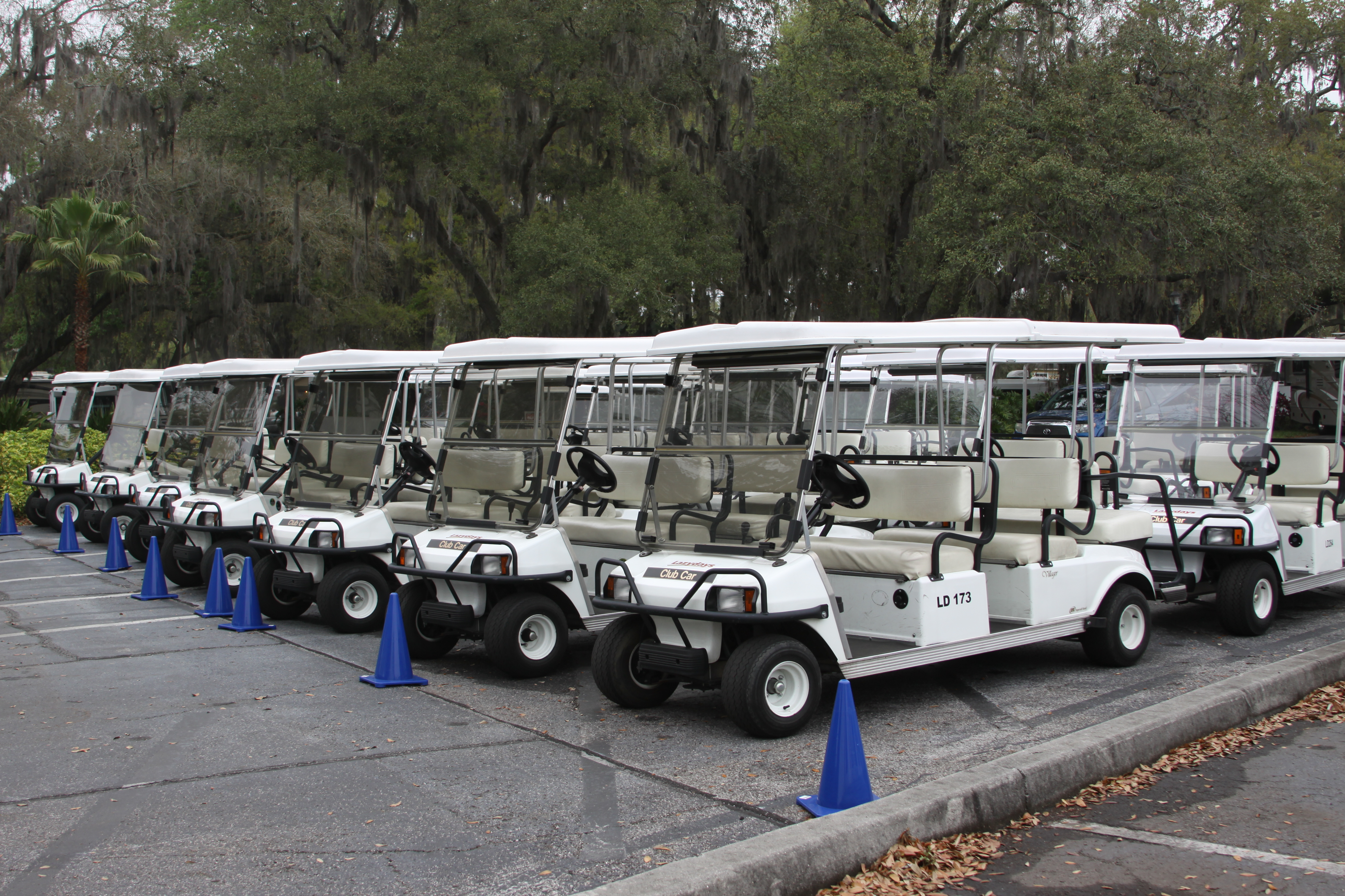 Golf Carts for Sale Near Me | Tampa | Orlando | Miami | Florida