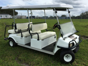 6 passenger golf cart