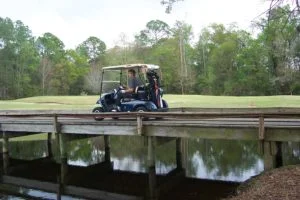 Gas Golf Carts for Sale