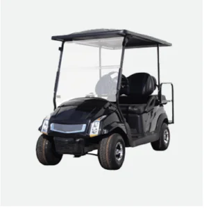 Golf Cart Charger