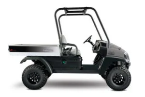 Golf Cart with Cargo Bed