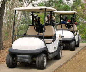 Used Golf Carts For Sale Lakeland